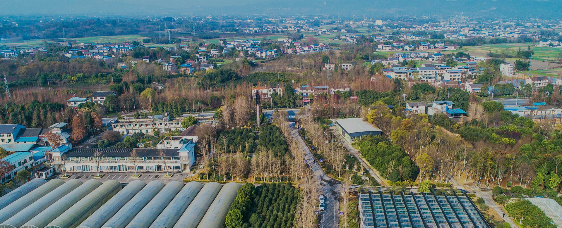 蔬菜品種育苗、示范推廣、基地種植、農(nóng)產(chǎn)品生產(chǎn)、加工 、銷(xiāo)售